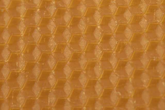 beeswax