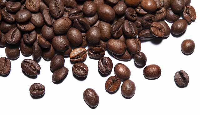 kopi