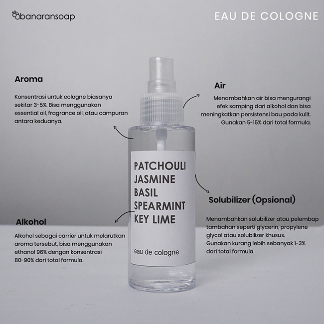 anatomi dasar cologne