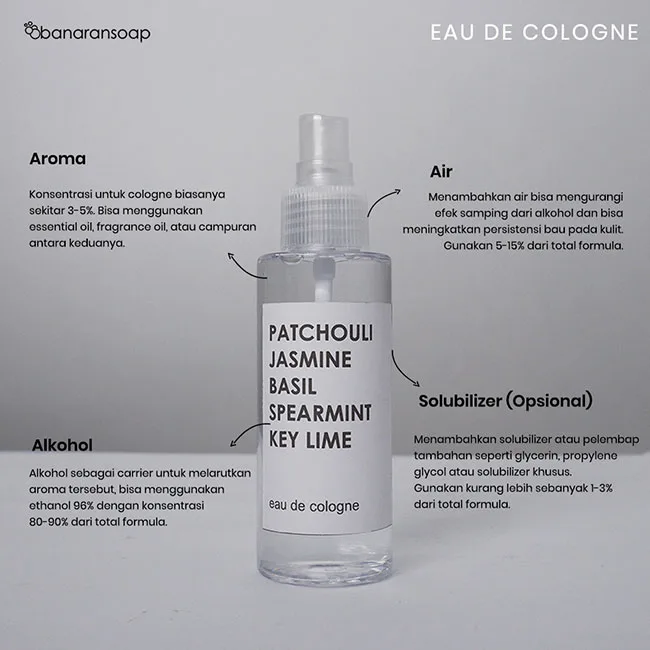anatomi dasar cologne