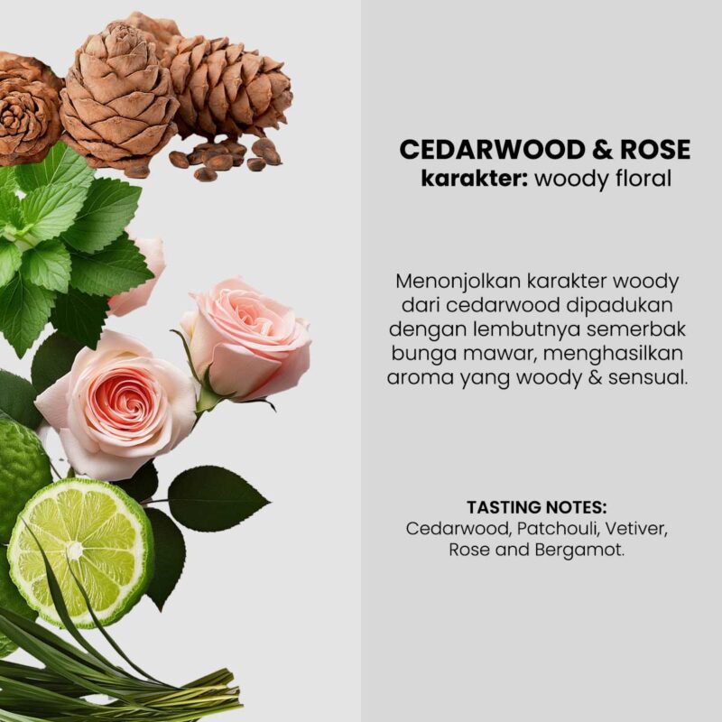 Cedarwood & Rose Nourishing Body Lotion Special Edition